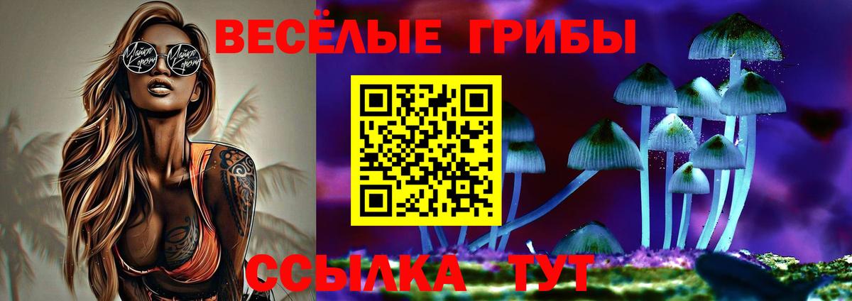 Псилоцибиновые грибы мухоморы  Вход с VPN  даркнет сайт  Заволжье 